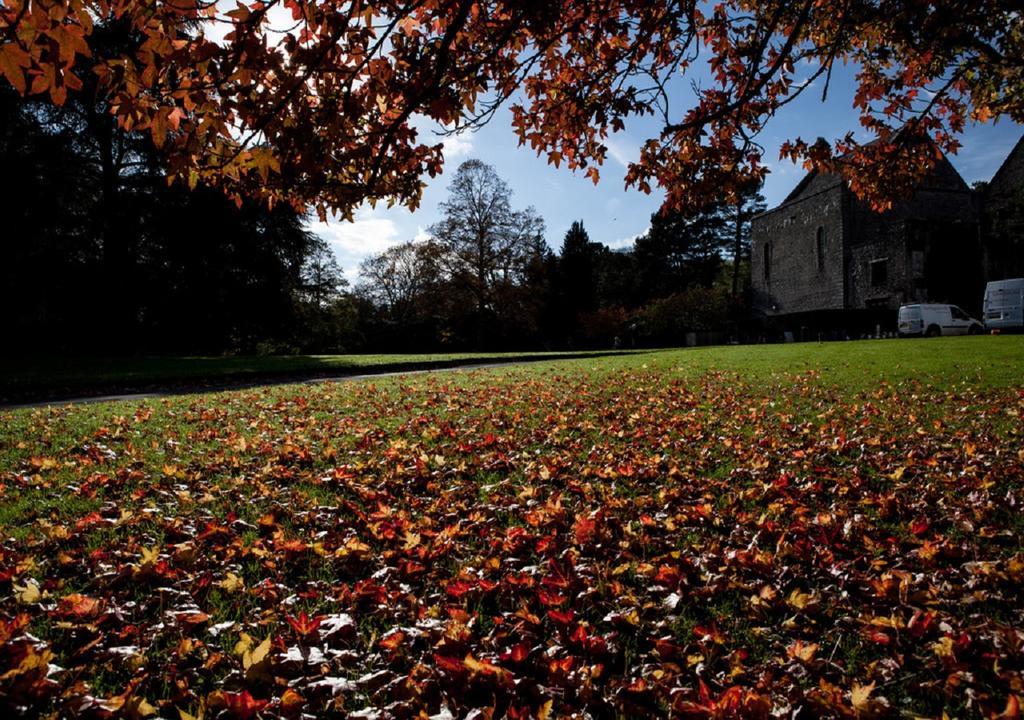 Dartington Hall Totnes Exteriör bild
